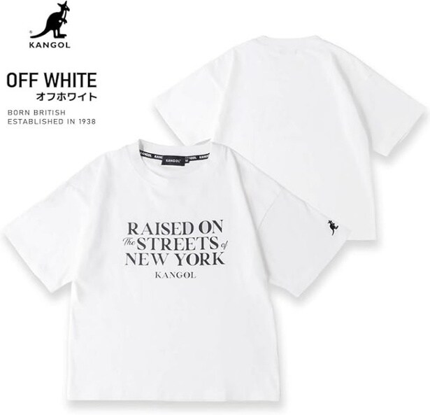 61TsyHbvxjL._AC_SY500_