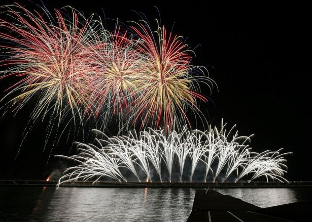 スターライトイリュージョン2025(和歌山マリーナシティ 西側防波堤)