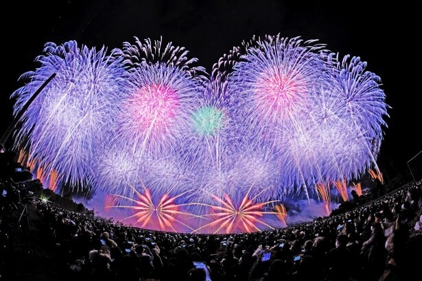 NARITA花火大会in印旛沼(成田市台方地先、成田ニュータウンスポーツ広場、協賛者会場(有料))