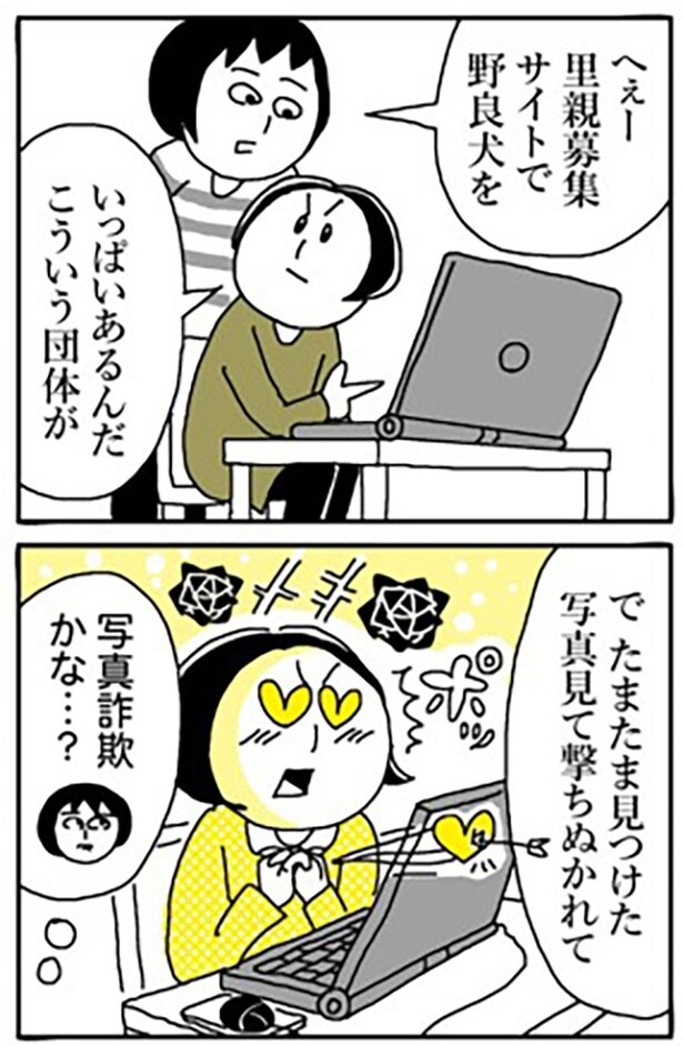 里親募集サイトで一匹の野良犬に一目惚れした姉 1-9