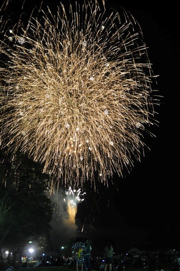 かかし村まつり(一堂ヶ丘公園)