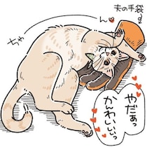【ネコ漫画】パパには塩対応！"おしり攻撃"を受けてもパパの愛は止まらない！ツンデレ猫の日常がSNSで大人気【作者に訊く】