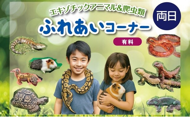 「ふれあいコーナー」では普段なかなか出合えない動物たちに触れることができる