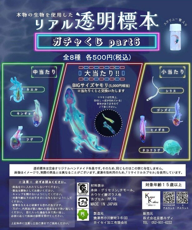リアルな透明標本のガチャガチャも！