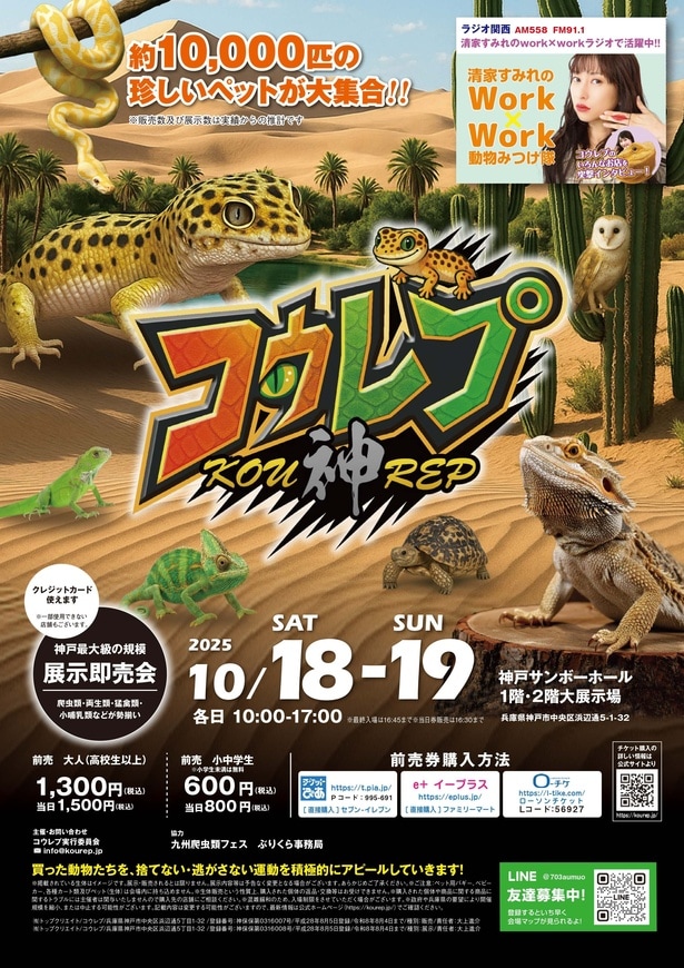 爬虫類好き集まれ！神戸最大級の爬虫類イベント「コウレプ」が神戸サンボーホールにて開催