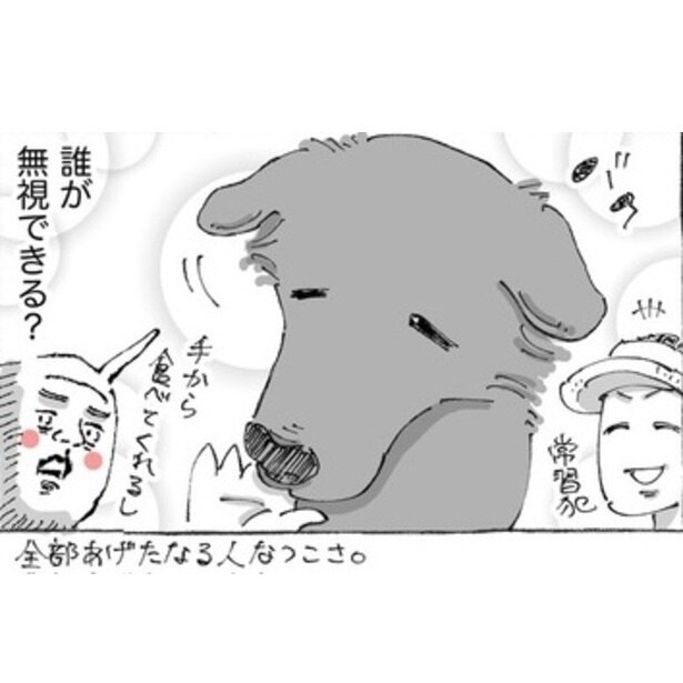 おいしそうな串焼きなのに「全部は食べられない」？やってきたかわいすぎる“常習犯”に納得