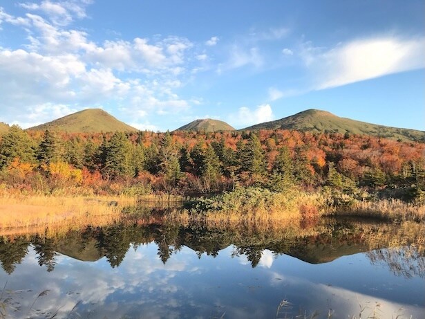 八甲田連峰を望む「睡蓮沼」