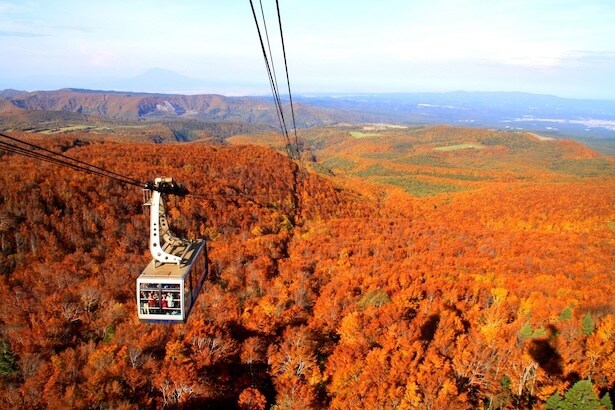 赤い絨毯のような絶景を楽しめる「八甲田ロープウェー」