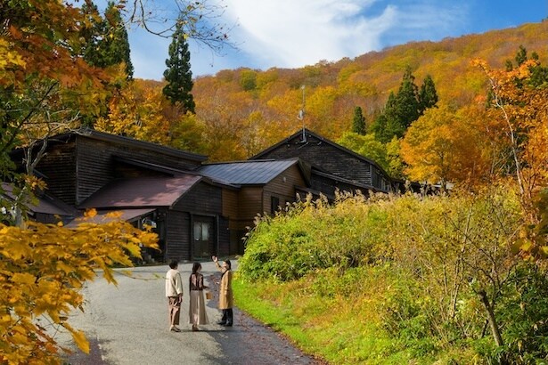 温泉紅葉プライベートツアー(案内イメージ)