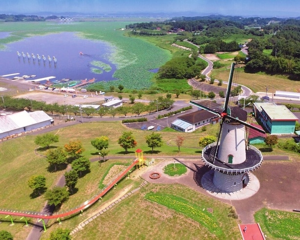 場内にあるオランダ風車