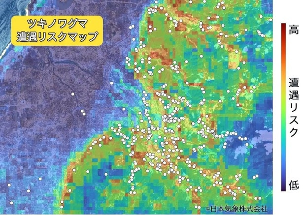 白い点は過去7年間にクマが出没した場所(石川県金沢市周辺の拡大図)
