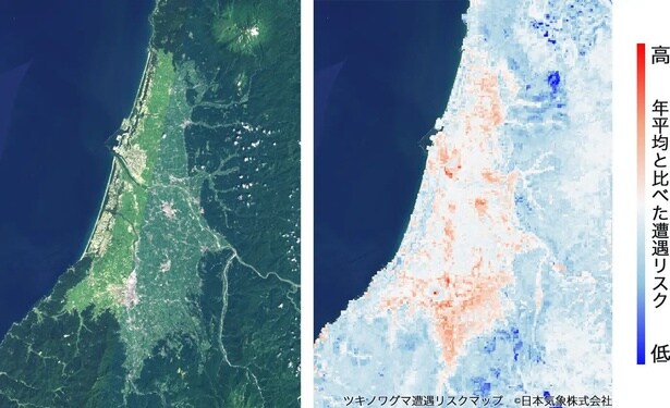 山形県庄内平野付近で、一年間の平均的な遭遇リスクと比べて、リスクが高い場所を赤、低い場所を青で表現した結果(左：衛星画像、右：10月の相対的な遭遇リスク)