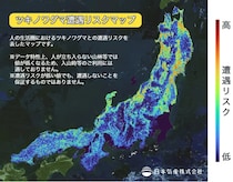 AIでクマとの遭遇リスクを可視化した日本初のマップとは？冬眠前に拡大するクマ被害のリスクを事前に知って予防しよう