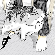 【ネコ漫画】飼い主の足元をすりすりする愛猫!?その姿に「かわいいから許せちゃう」などの共感コメント＆7.2万いいね