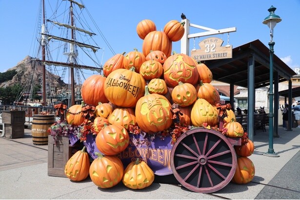 ディズニーの仲間たちがデザインされたカボチャもあるので、ぜひ探してみよう