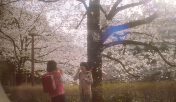 東京の小学校で出会った貴樹と明里は、互いの孤独にそっと手を差し伸べるように心を通わせていく