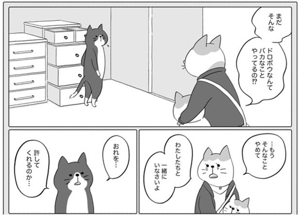 長年疎遠だった家族と再会するドロボウ猫 17