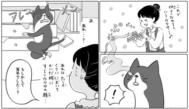 少女に見つかってしまうドロボウ猫だが…!? 06