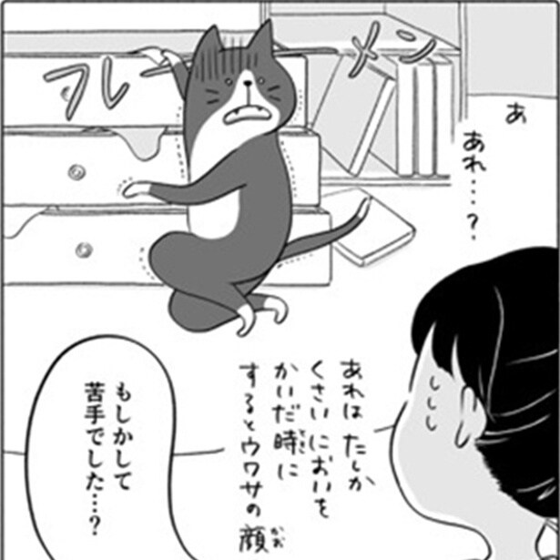 少女に見つかって動揺するドロボウ猫