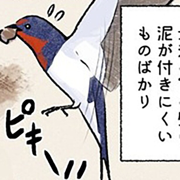 住宅難のツバメたち