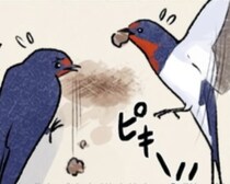 「こんなところにツバメの巣？」現代の厳しい“住宅事情”に四苦八苦するツバメたちを描く【作者インタビュー】