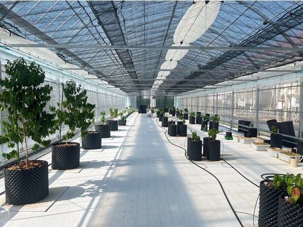 10種類のコーヒーが栽培されている