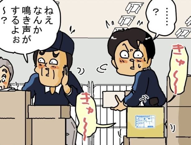 宅配の箱から鳴き声が!?