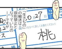 品名は「桃」なのに…？宅配便で「生き物」を送る闇手口、伝票には「フルーツ」とあるのに中身は動物だった【作者に聞く】
