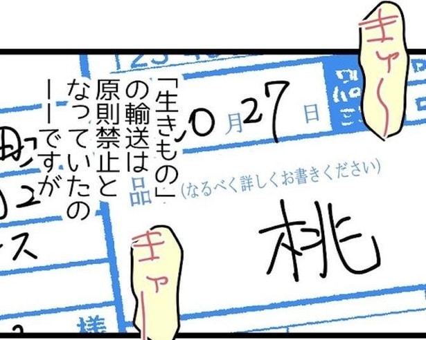 品名は「桃」なのに…？宅配便で「生き物」を送る闇手口、伝票には「フルーツ」とあるのに中身は動物だった【作者に聞く】