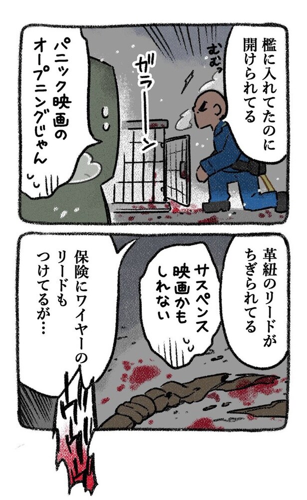 保護犬茶々のお話【第3話】(3) 