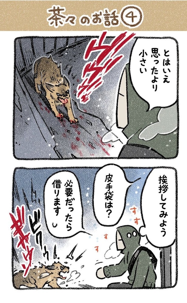 保護犬茶々のお話【第4話】(1) 