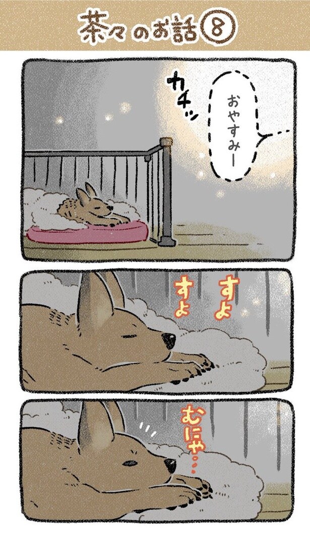 保護犬茶々のお話【第8話】(1) 