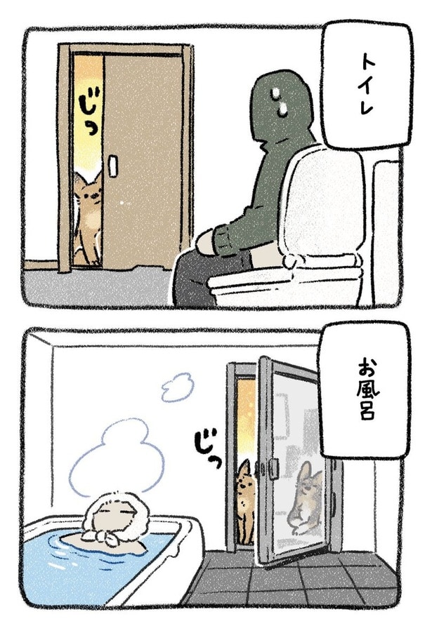 保護犬茶々のお話【第12話】(3) 