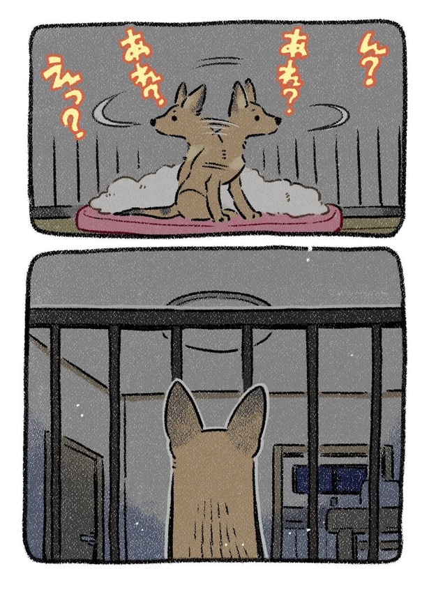 保護犬茶々のお話【第8話】(2) 