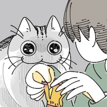 【ネコ漫画】飼い主のおやつに目がない愛猫!?「おやつをもらえる」と期待する姿がSNSで大反響