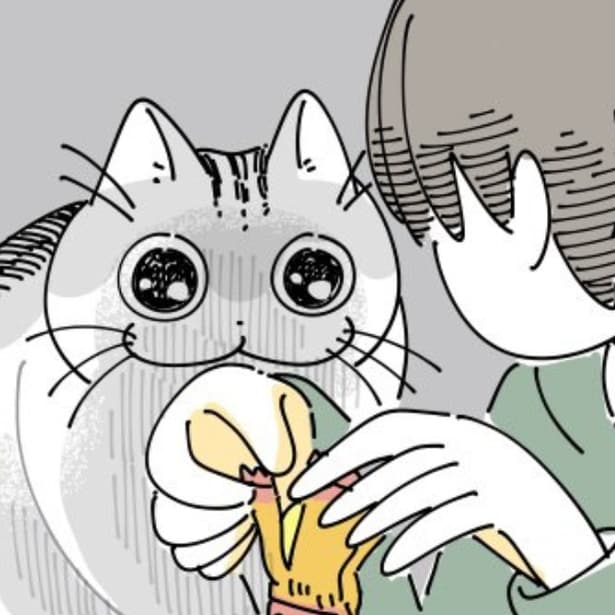 【ネコ漫画】飼い主のおやつに目がない愛猫!?「おやつをもらえる」と期待する姿がSNSで大反響