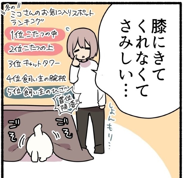 飼い主をスルーしてこたつまっしぐらの猫