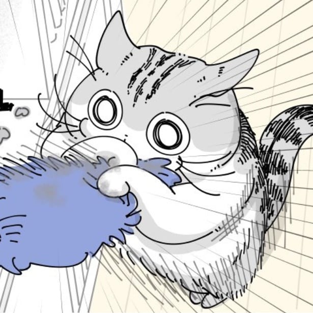 掃除用具に飛びつく猫