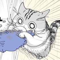 【ネコ漫画】大掃除をお手伝いしたい愛猫!?その姿に「めっちゃあるある」などの共感コメントが続出