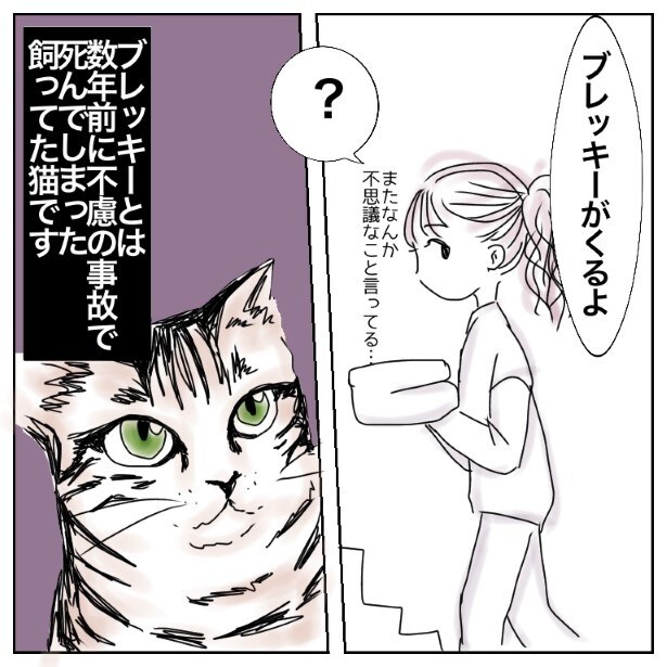 うちの猫の話_p003