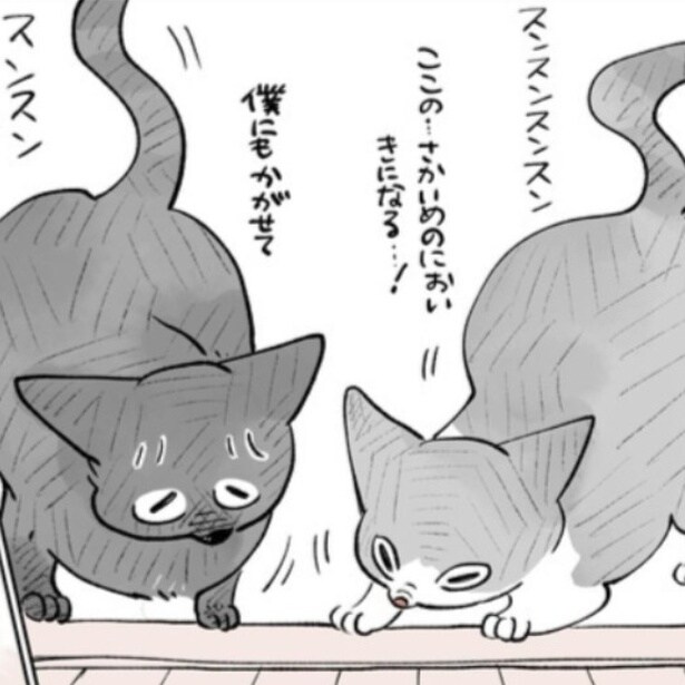 新居の匂いをクンクン嗅ぐ猫たち