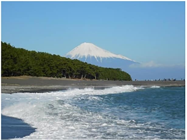 三保松原(提供：静岡市)