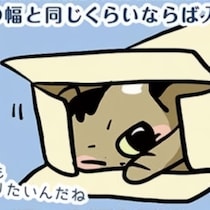 【ねこ漫画】小さな段ボールに入る、液体のように伸びる…保護猫を迎えて知った、予測不能な猫の行動に今日もキュン！【作者に聞いた】
