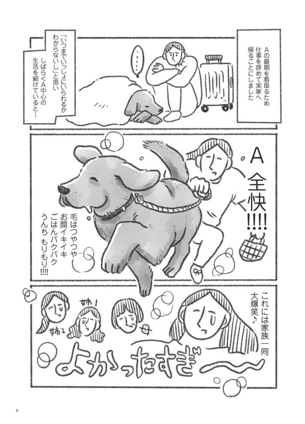 老犬とつづ井　はじめに(2)