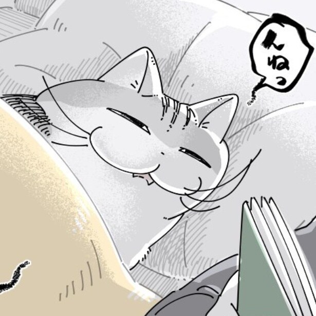 ベッドの上で寝言を言う猫