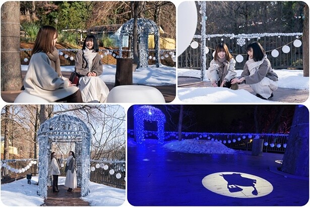 おとなのスノーテラス