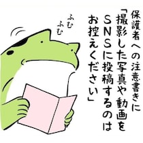 時代は変わった！昭和・平成と全然違う!!令和の運動会がすごい！保護者からのクレーム対策でビデオ判定も導入!?【作者に聞く】