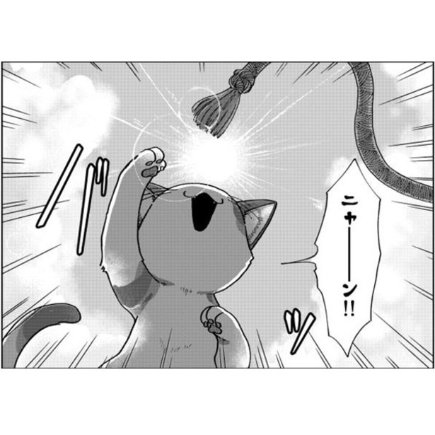 猫が地球の未来を救う!?人手不足で「猫の手も借りたい」世界線に思わずニンマリ共感!!【作者インタビュー】