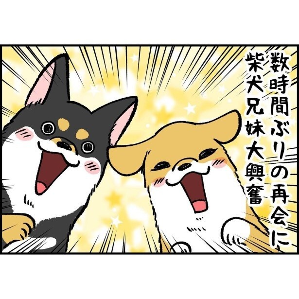 まるで1週間くらい会ってなかったかのような喜びよう!!