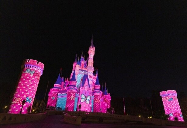 夜の環境演出「ファンダーナイト」も実施中